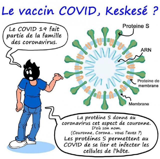 bd vaccin covid