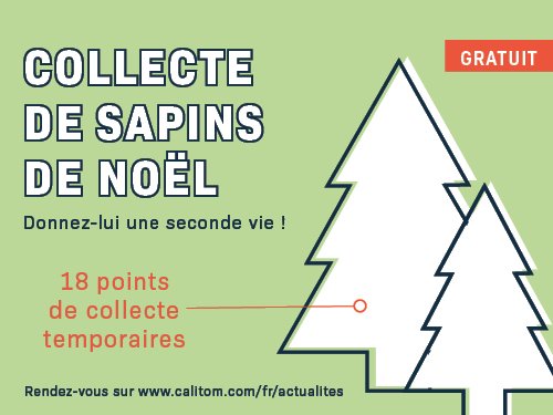 sapins 