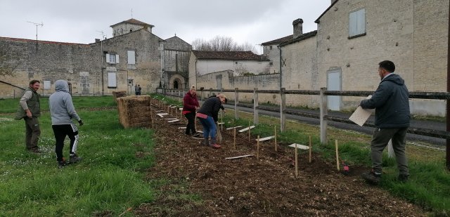 plantation 2