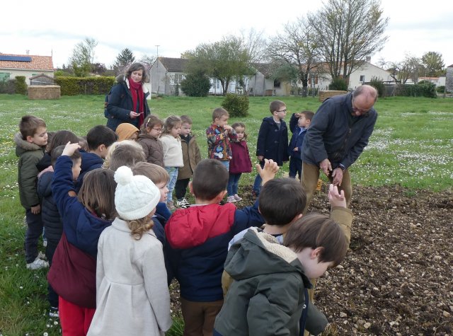 plantation classe