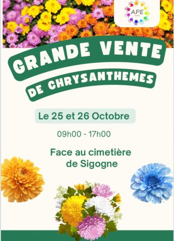 APE CHRYSANTHEMES